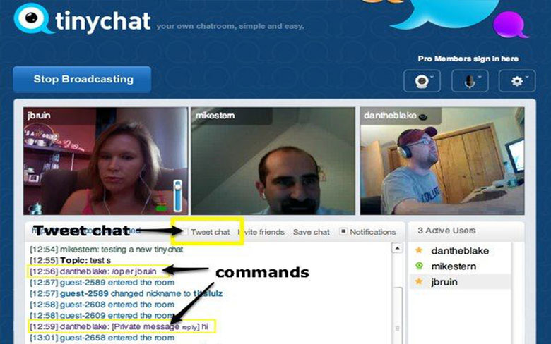 TinyChat