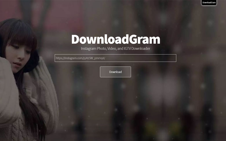 DownloadGram