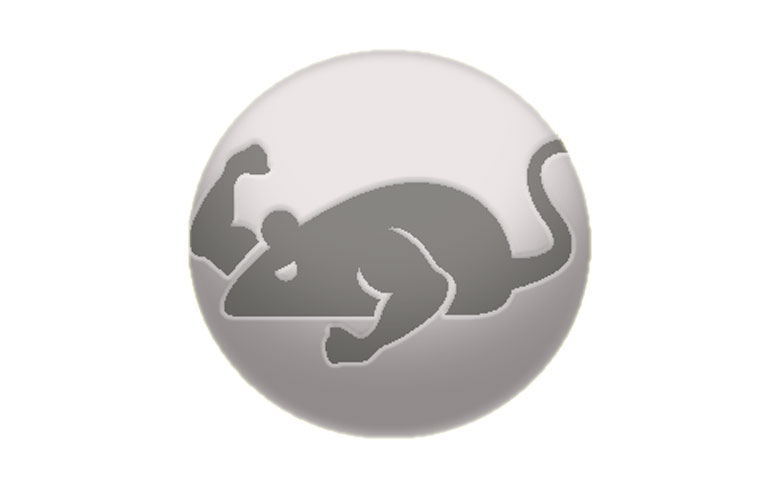 Cat Mouse Apk